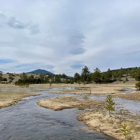 Zlatibor